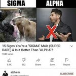 15 Signs You're a "Sigma" Male Know Your Meme